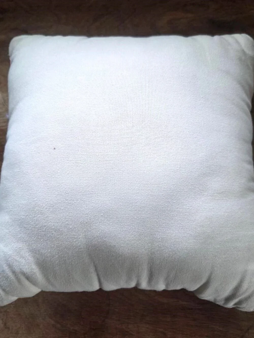 Pottery Barn pillow 8x8